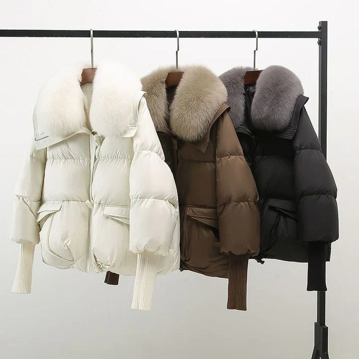 Valine - Stylish Jacket